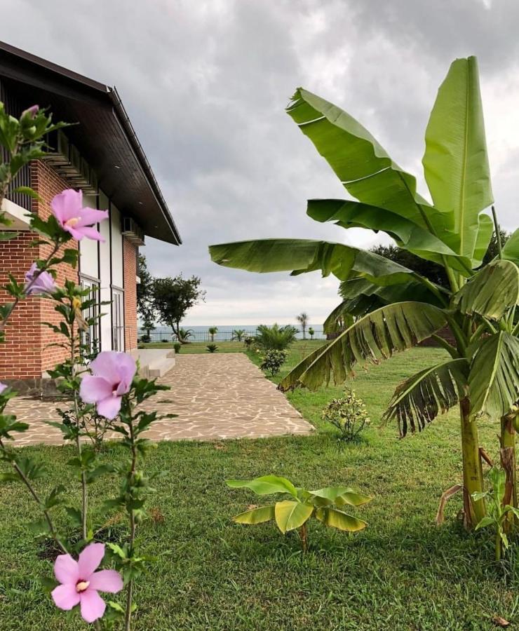 Injir Village Hotel Gudauta Exteriér fotografie